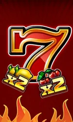 Fortune Five Double